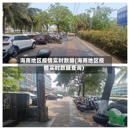 海南地区疫情实时数据(海南地区疫情实时数据查询)-第2张图片