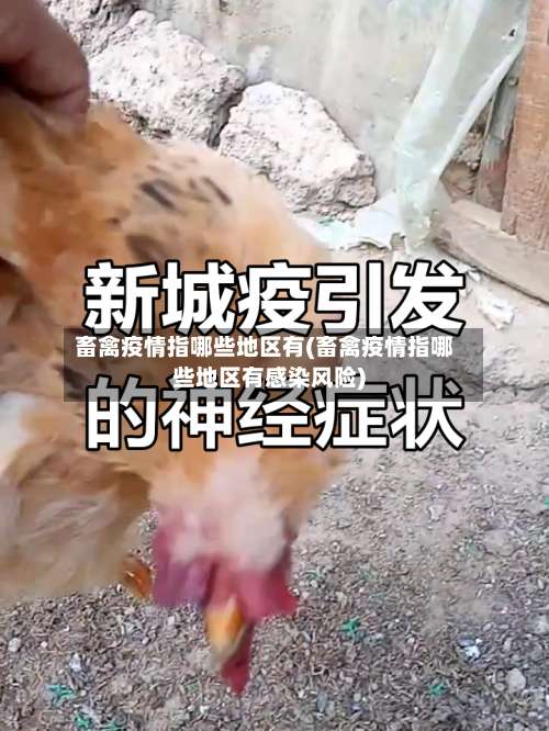 畜禽疫情指哪些地区有(畜禽疫情指哪些地区有感染风险)-第1张图片