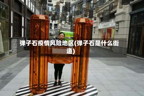 弹子石疫情风险地区(弹子石是什么街道)-第3张图片