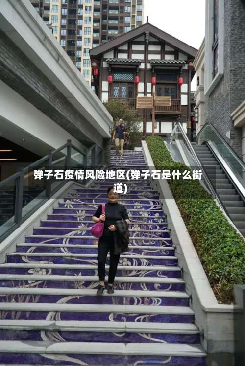 弹子石疫情风险地区(弹子石是什么街道)-第2张图片