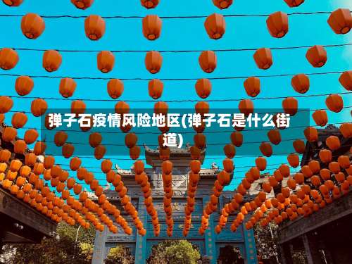 弹子石疫情风险地区(弹子石是什么街道)-第1张图片