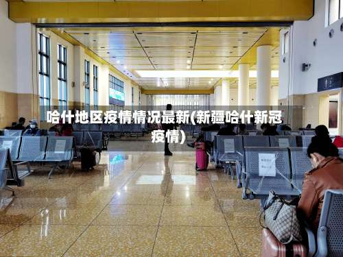 哈什地区疫情情况最新(新疆哈什新冠疫情)-第2张图片