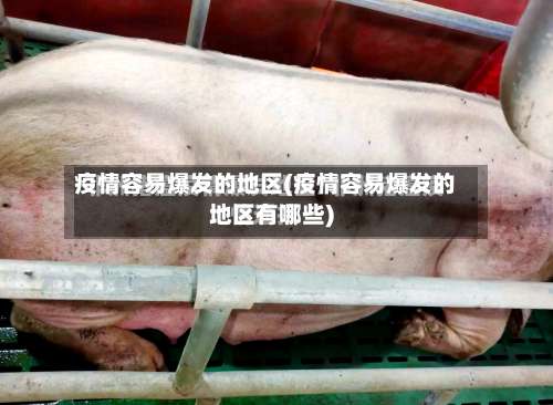 疫情容易爆发的地区(疫情容易爆发的地区有哪些)-第2张图片