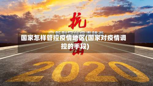 国家怎样管控疫情地区(国家对疫情调控的手段)-第3张图片