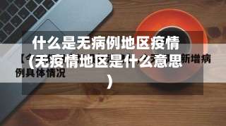 什么是无病例地区疫情(无疫情地区是什么意思)-第2张图片