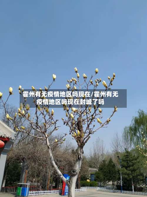 霍州有无疫情地区吗现在/霍州有无疫情地区吗现在封城了吗-第1张图片