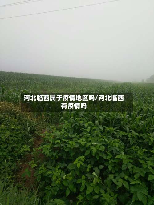 河北临西属于疫情地区吗/河北临西有疫情吗-第2张图片