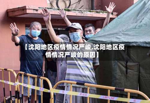 【沈阳地区疫情情况严峻,沈阳地区疫情情况严峻的原因】-第2张图片