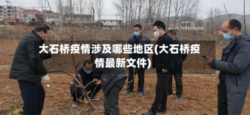 大石桥疫情涉及哪些地区(大石桥疫情最新文件)-第1张图片