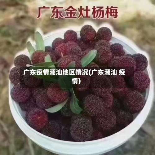 广东疫情潮汕地区情况(广东潮汕 疫情)-第1张图片