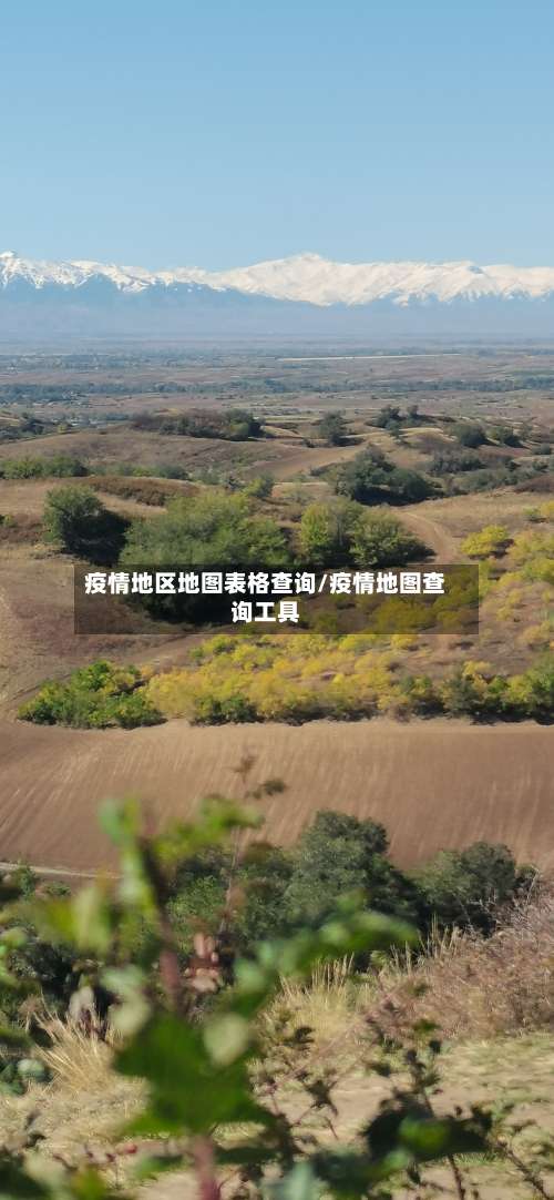 疫情地区地图表格查询/疫情地图查询工具-第1张图片