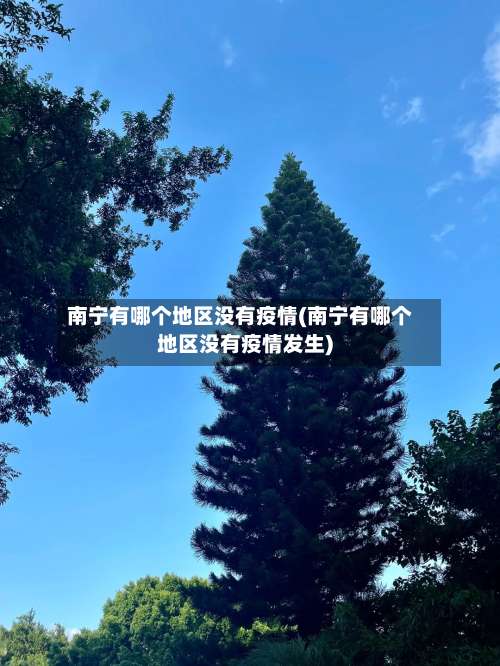 南宁有哪个地区没有疫情(南宁有哪个地区没有疫情发生)-第2张图片
