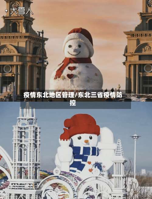 疫情东北地区管理/东北三省疫情防控-第1张图片