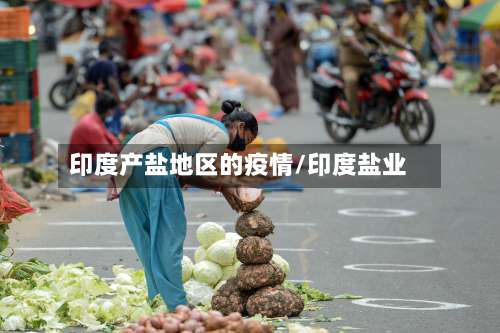 印度产盐地区的疫情/印度盐业-第1张图片