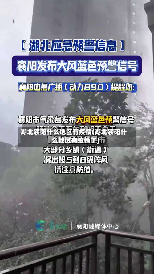 湖北襄阳什么地区有疫情(湖北襄阳什么地区有疫情了)-第2张图片