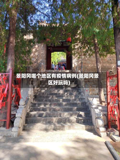 景阳冈哪个地区有疫情病例(景阳冈景区好玩吗)-第3张图片