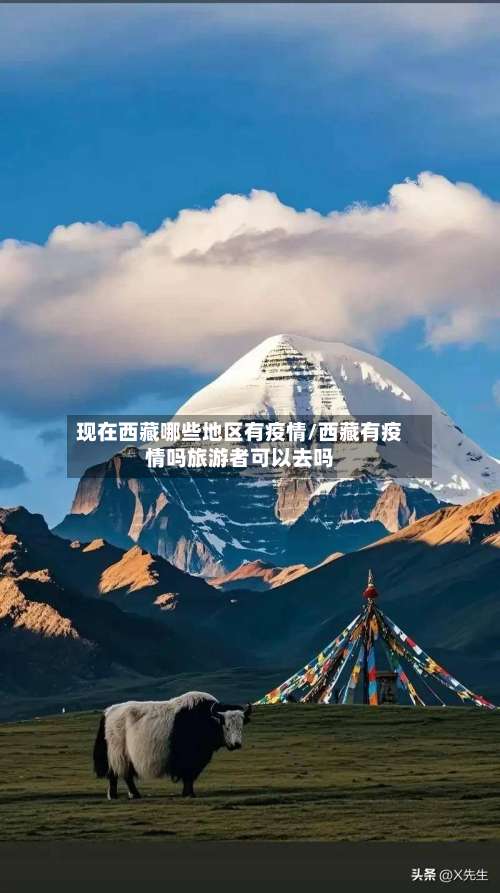 现在西藏哪些地区有疫情/西藏有疫情吗旅游者可以去吗-第1张图片